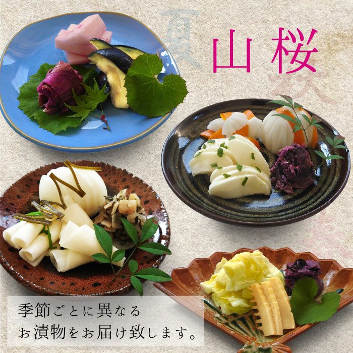 山桜(全季節：年4回)