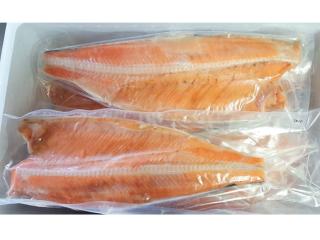 【箱売り】汐ときしらず鮭フィーレ