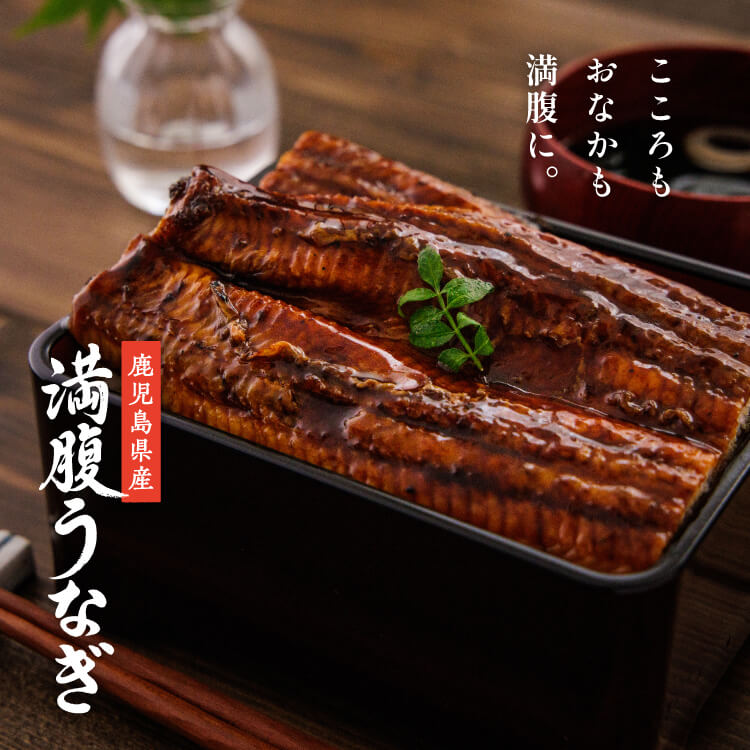 鹿児島県産 特大うなぎ蒲焼き（2尾）