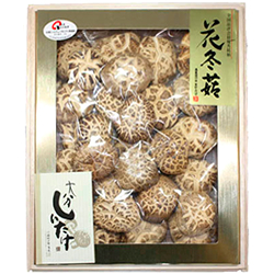 特撰椎茸　花どんこ