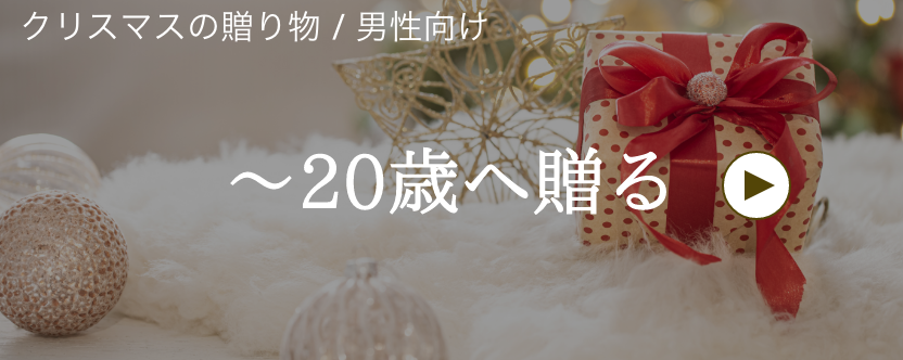 クリスマス / 男性へ / ~20歳へ
